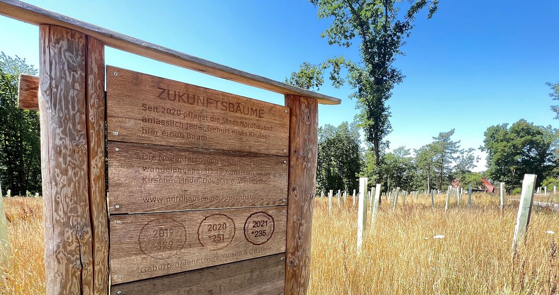 Bild: Ein Schild weist bei Harzrigi auf die j&auml;hrlichen Neupflanzungen des Zukunftswalds hin.
