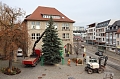 Bild: Eine Edeltanne aus Krimderode f&uuml;r den Nordh&auml;user Weihnachtsmarkt (Stadtverwaltung Nordhausen)