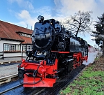 Bild: Walpurgiszug nach Schierke