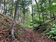 Karstwanderweg Hohnsdorfer Schlotte (Foto: Pressestelle)