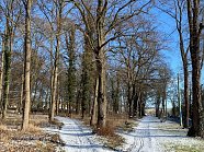 Alter Friedhof an der Leimbacherstraße (Foto: ©Stadtverwaltung Nordhausen)