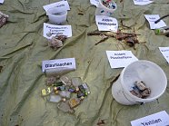 Wissenschaftsprojekt „Plastik Piraten“ (Foto: Stadt Nordhausen)