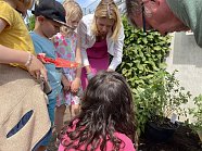 Hochbeete Museumsgarten der Flohburg  Projekt mit einer Kindertagesstätte zur Thematik „Gärtnern“ (Foto: Stadt Nordhausen)