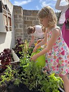 Hochbeete Museumsgarten der Flohburg  Projekt mit einer Kindertagesstätte zur Thematik „Gärtnern“ (Foto: Stadt Nordhausen)