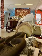 Sonderausstellung Flohburg (Foto: ©Stadtverwaltung Nordhausen)