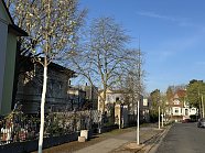 Umfangreiche Baumpflanzmaßnahmen im Stadtgebiet Nordhausen (Foto: Stadtverwaltung Nordhausen)