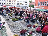 Zwiebel- und Kürbismarkt (Foto: P. Grabe)