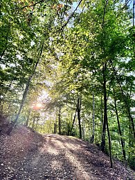 Spaziergang in den Parks der Stadt (Foto: Stadtverwaltung Nordhausen)