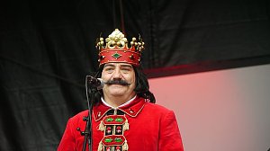 Bild: Rolandsfest 2014