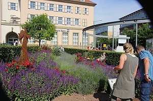 Bild: Rolandsfest-Impressionen