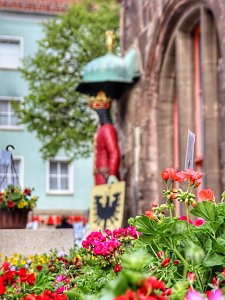 Blütenpracht in Nordhausen: Geranienmarkt am 10. Mai 2025 auf dem Rathausplatz