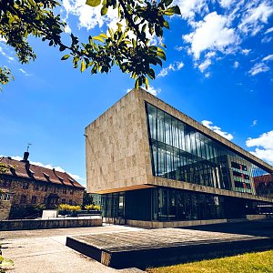 Stadtbibliothek im Juni