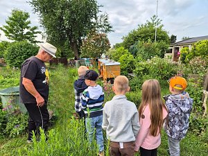 „Kleine Spürnasen“ bei den fleißigen Bienen