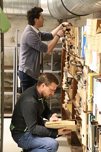 Bestandsrevision im Bauaktenarchiv: Fachfirma erarbeitet Mengengerüst und Schadensgutachten