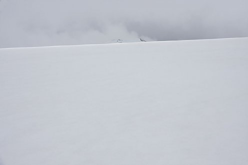 Lyell Icefield, Kanada (Foto: Tilmann Graner) Lyell Icefield, Kanada (Foto: Tilmann Graner)