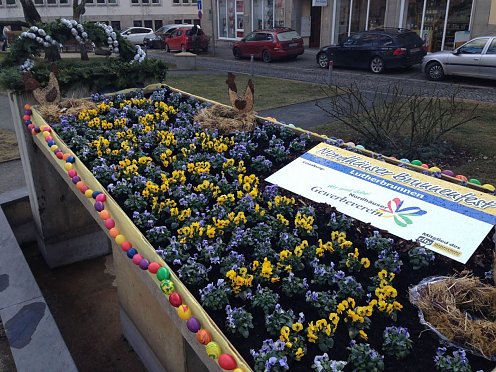 Brunnenfest (Foto: Stadtverwaltung Nordhausen)