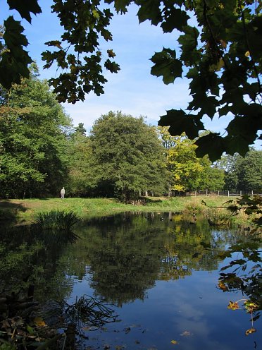 Nasswiese Stadtpark (Foto: Stadtverwaltung Nordhausen)