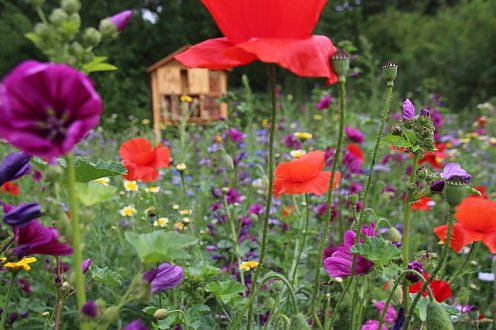 Tabakspeicher Garten Talk (Foto: Stadtverwaltung Nordhausen)