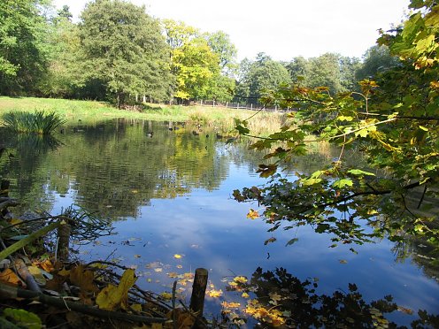 Nasswiese Stadtpark (Foto: Stadtverwaltung Nordhausen)