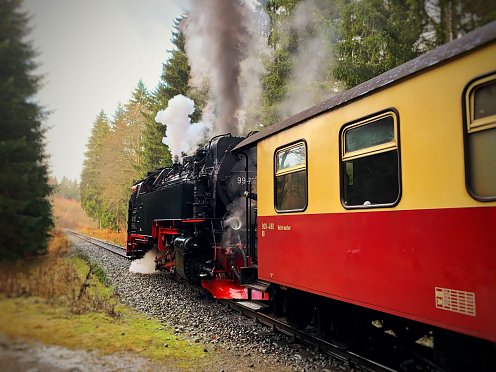 Harzer Schmalspurbahnen  (Foto: Pressestelle Stadt Nordhausen)