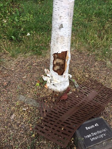 Vandalismus am Ehrenhain  (Foto: Stadtverwaltung Nordhausen)