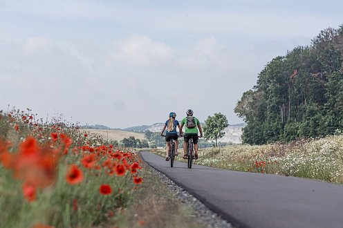 Radtour vom Rathaus zur Neustädter Wetterfahne (Foto: ©Christian Schelauske)