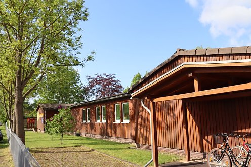 Traumzauberbaum (Foto: SG 41.2)