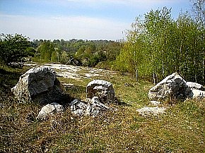 Winkelberg ist FFH-Gebiet: "Eine Entscheidung für die nächsten Generationen" (Foto: nnz)