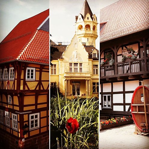 Städtische Museen  (Foto: Stadtverwaltung Nordhausen)