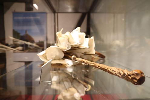 Museum Tabakspeicher: Neue Sonderausstellung „Zwischen Himmel und Erde  Der Regenschirm“ (Foto: )