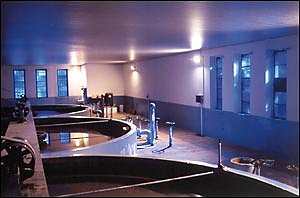 Wasserwerk mit Transmissonsantrieb (Foto: ) Wasserwerk mit Transmissonsantrieb (Foto: )