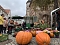 Bunter Kürbis- und Zwiebelmarkt in Nordhausen