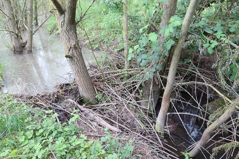 Stadt Nordhausen investiert in Hochwasserschutz am Roßmannsbach