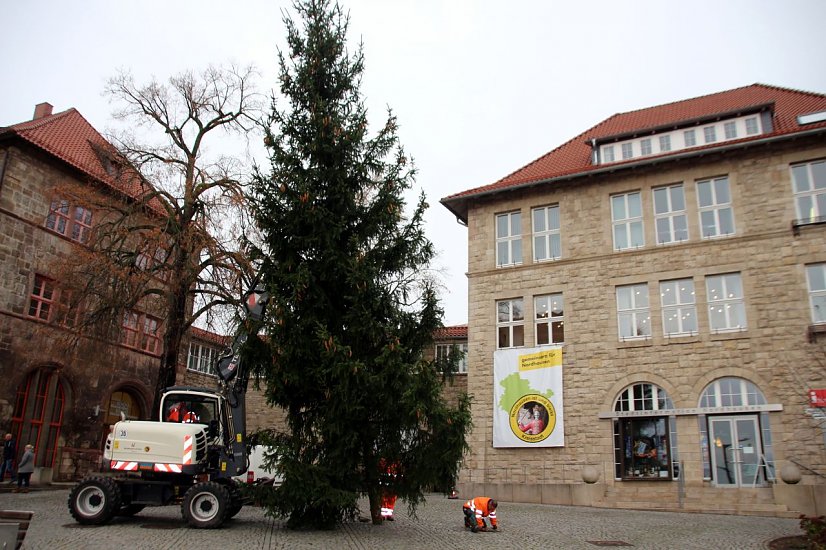 Weihnachtsbaum vor dem Rathaus (Foto: Patrick Grabe, Pressestelle Stadt Nordhausen)