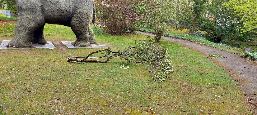 Vandalismus im Meyenburg-Park (Foto: Stadtverwaltung Nordhausen)