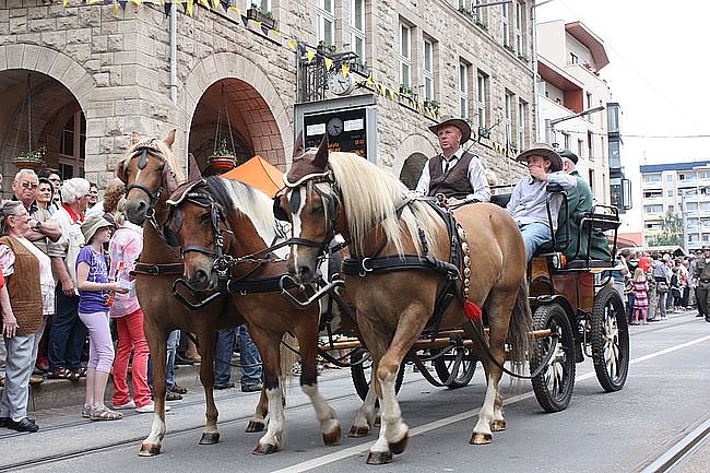 Festumzug 2012